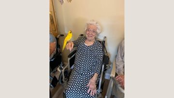 Braintree care home Residents enjoy animal interaction